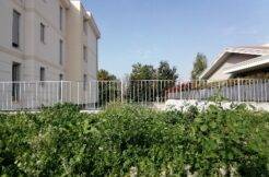 AB65BA9C FCB9 4764 BE69 10CE368804E9 1