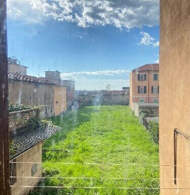 D8000499 60B3 4410 AEE9 05707CB7145C