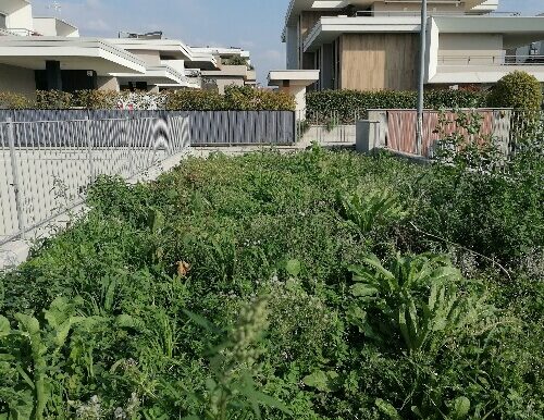 14A6F71D 25D5 4DEE 8DBB 7C2D4EA60988