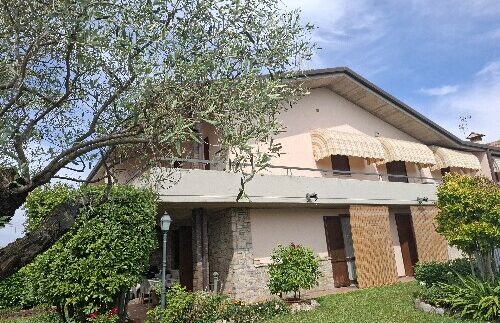 17AD9B2E 1C1E 4635 A15F 34BFA547F561