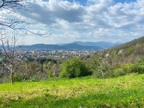 3E8CF113 13C6 4F78 8D7D 8454B45BF0AB