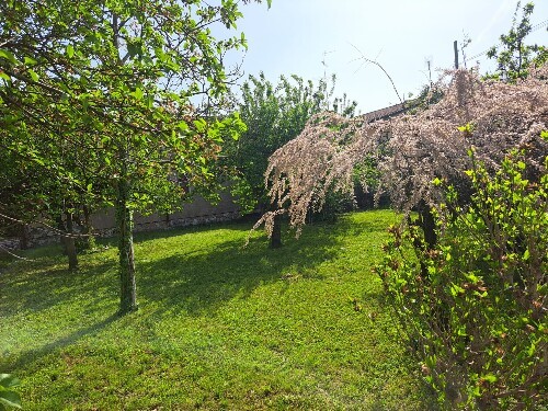 B51EE179 EE39 4E1D B397 DC1A944D7A2D