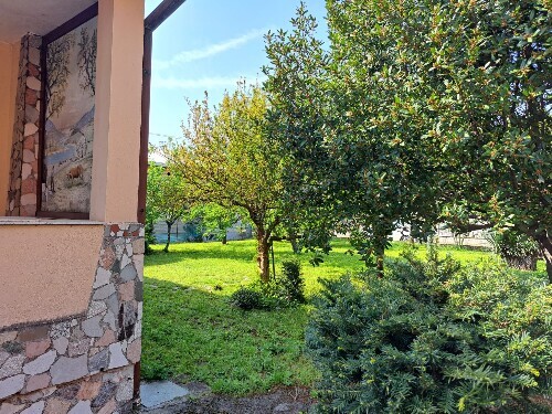 C3587204 F58B 4A6A 9232 437BA122AD88