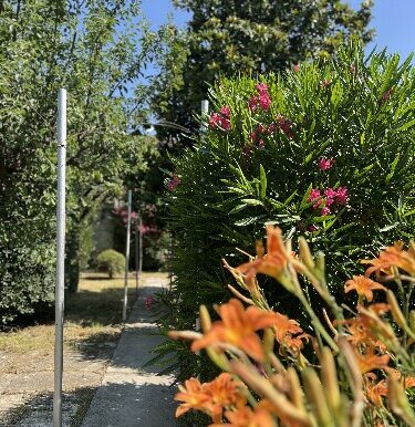 EF1586F1 14E7 4CB4 AB39 9AC66569E45B