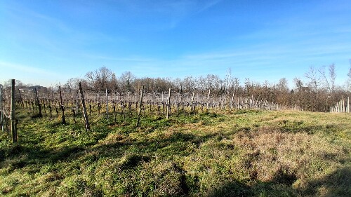 050A966E 3CC3 4717 B5A3 18C47D8AA647 1