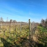 112B8F50 252C 4986 A605 D9DB6C548709 1