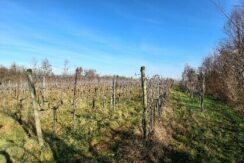 112B8F50 252C 4986 A605 D9DB6C548709 1