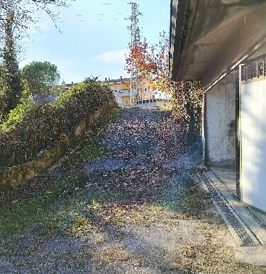 296FEDA7 0E23 443A B3E9 F624A48B94C0