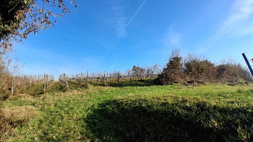 29B5F345 2CC9 4410 BBF9 8E1FCDB35F25 1