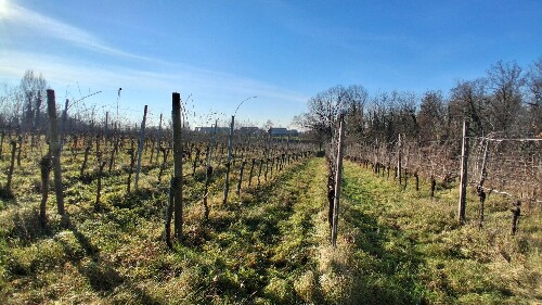 373769CD 42E7 4077 8C30 7D03741FC7FF 1