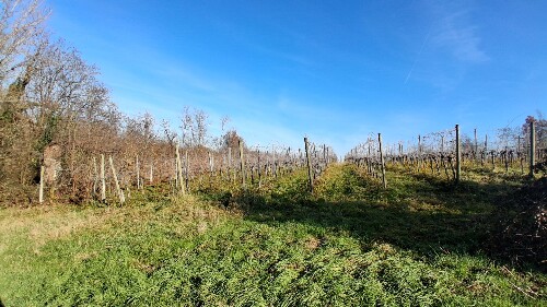 375FDB02 2B8B 4623 A006 71FF1A4C7B1E 1