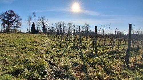 616BB6B6 A137 42A0 882E A3162105737C 1