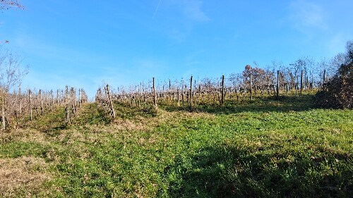 985C3F89 9351 4252 97D2 19C75609C05D 1