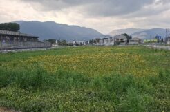 1F8F2133 6466 429B B3C8 F86DEB336F68 1