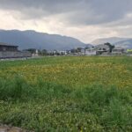 1F8F2133 6466 429B B3C8 F86DEB336F68