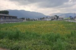 1F8F2133 6466 429B B3C8 F86DEB336F68