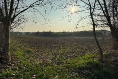 646DC012 7907 4F0F BFB5 4F10ACC89037