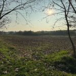 A7936D93 4476 4BC7 BA69 B60422835AAE