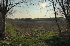 A7936D93 4476 4BC7 BA69 B60422835AAE