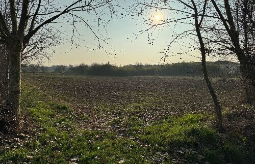 A7936D93 4476 4BC7 BA69 B60422835AAE